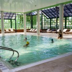 Hotel Solverde Indoor pool
